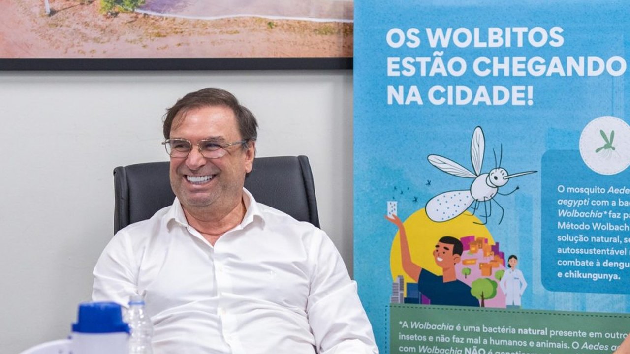 Arapiraca se prepara para soltura dos Wolbitos no combate à dengue, zika e chikungunya