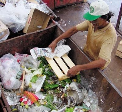 Alimentos vão parar no lixo