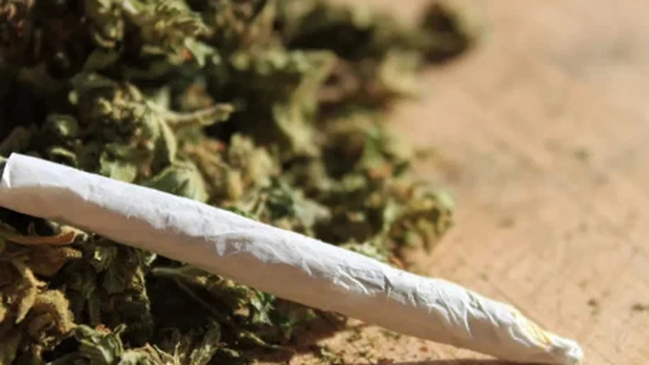 Estado de Maryland, nos EUA, anulará 175 mil condenações por uso de maconha