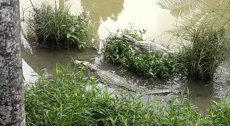 16e2a45282c542a100d8c63f29cd65a9bd2