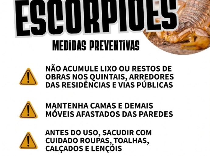 Palmeira: Educação da população é determinante para evitar proliferação dos animais peçonhentos