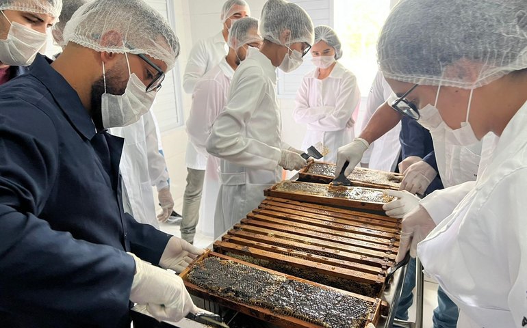Casa do Mel completa um ano de funcionamento atendendo a apicultura do sertão alagoano