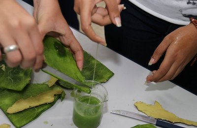 Escolas estaduais apresentam projetos na maior feira científica do País