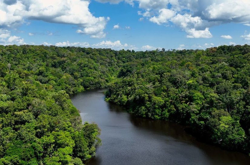 No Dia Mundial do Meio Ambiente, Governo do Brasil ressalta avanços conquistados pelo país desde 2023