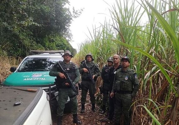 Operação destrói materiais de caça em reserva ambiental; suspeitos fogem