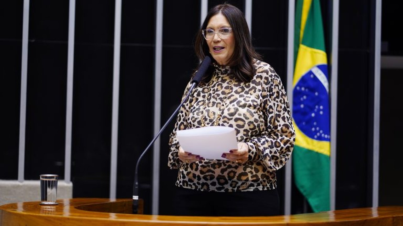 Comissão de Cultura homenageia centenário do escritor Fernando Sabino