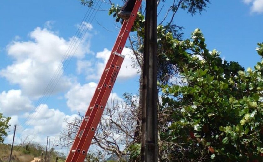Prefeitura de Branquinha finaliza serviços de manutenção da iluminação pública em mais uma região