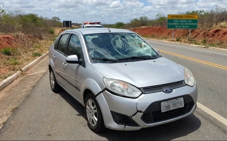 Tragédia na AL-220: motociclista morre ao tentar cruzar 'brecha' na mureta e ser atingido por carro no Sítio Capim