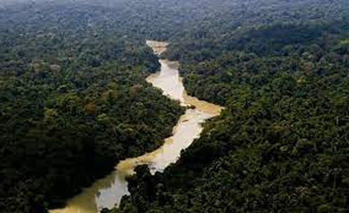 Amazônia terá recursos para projetos ambientais Amazônia terá recursos para projetos ambientais