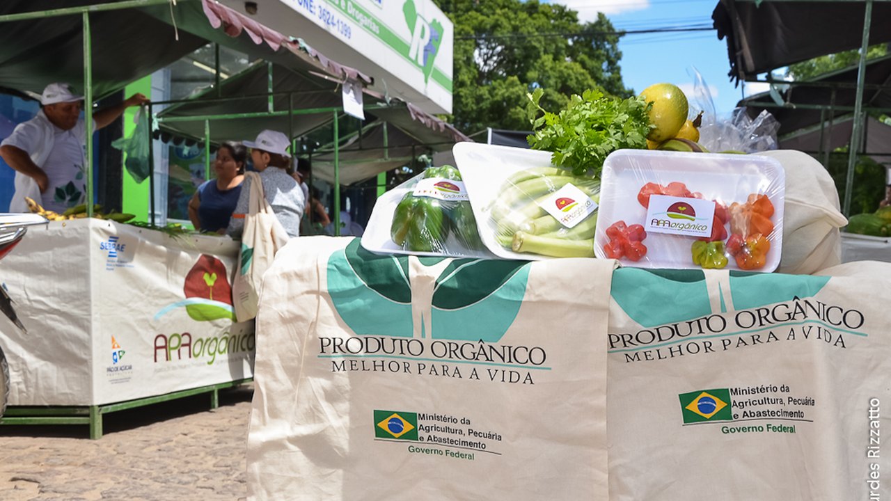 Feira de alimentos orgânicos de Pão de Açúcar comemora um ano de vendas à comunidade
