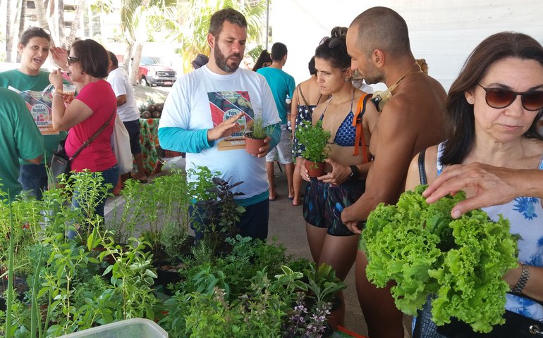 Domingo é dia de Feira Orgânica na orla de Ponta Verde