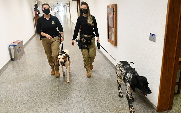 CSP vota porte de arma para policiais legislativos dos estados