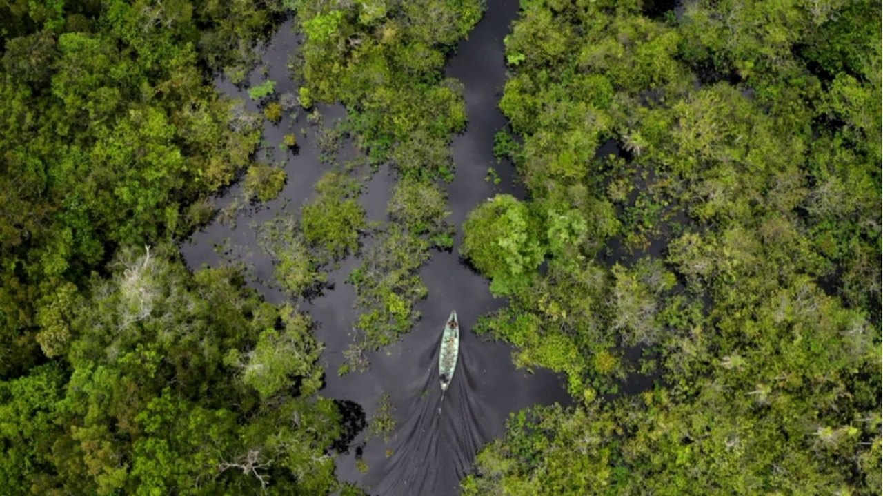 Forças Armadas mandam dois helicópteros para procurar indigenista e jornalista desaparecidos