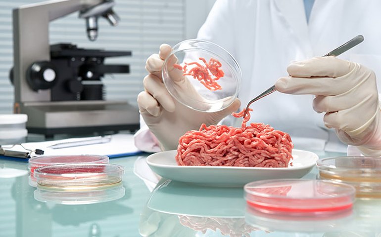 Empresas produzem alimentos em laboratório que substituem carne e ovo