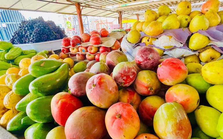Indicador de preços da Ceagesp sobe 4% em setembro, puxado por frutas; no ano há queda de 2,5%