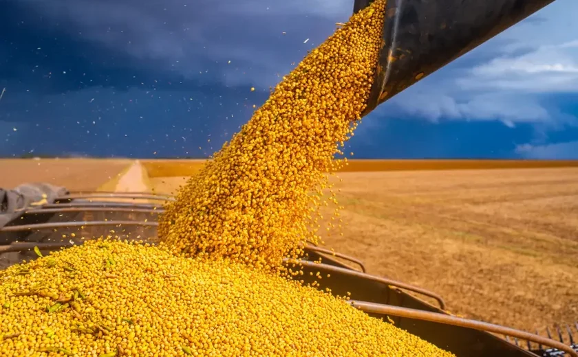 Polônia proíbe importação de grãos da Ucrânia para acalmar agricultores