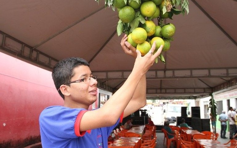 Alunos participam de beneficiamento de frutas em Santana do Mundaú