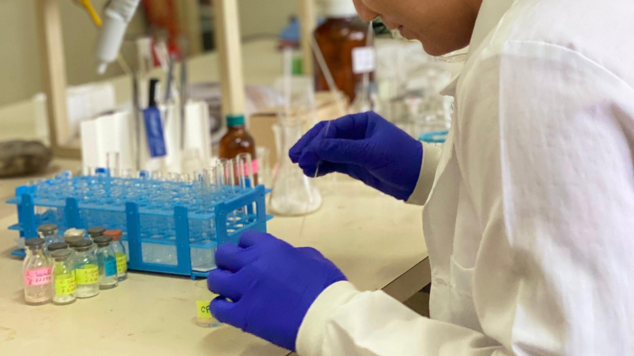 Pesquisa apoiada pela Fapeal revisa potencial agroquímico de moléculas naturais com baixa toxicidade