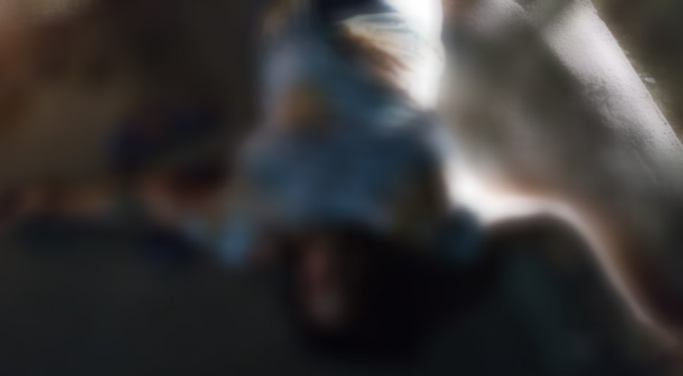 mulher morta indiaroba