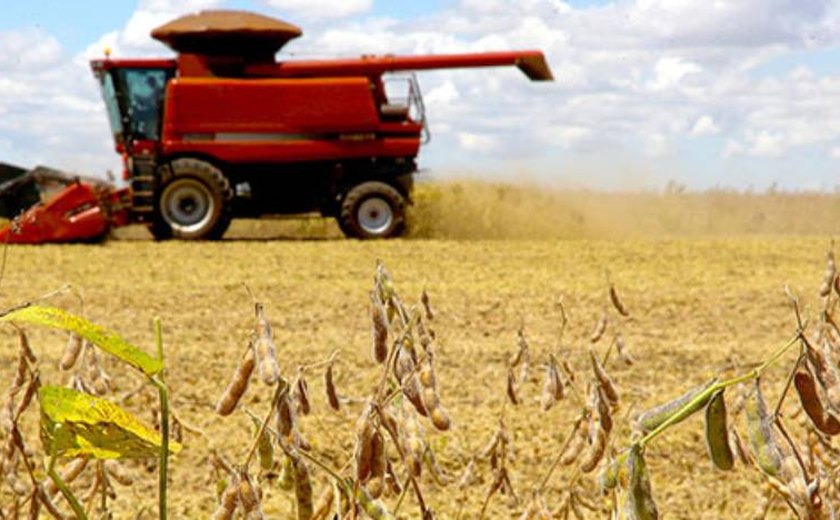 [IBGE] Em Alagoas, valor da produção agrícola alcança recorde de R$ 2,4 bilhões em 2020