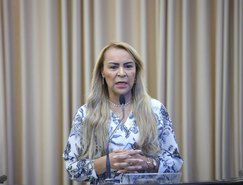 Audiencia Publica_Enfrentamento a violencia contra criancas e adolescentes -24.jpeg 