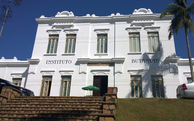 Butantan: intervalo maior entre doses permite cobertura mais ampla em menos tempo