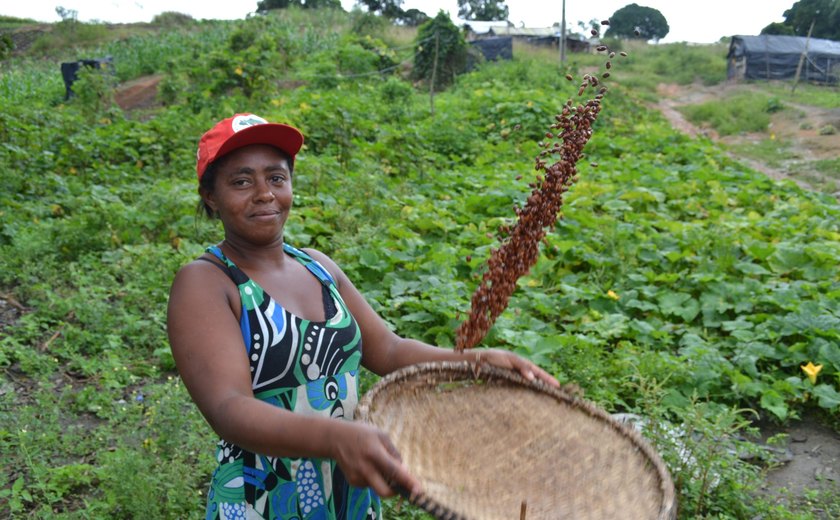 As mulheres faturam: Agricultoras transformam terras antes minadas em meio de subsistência para famílias na Colômbia