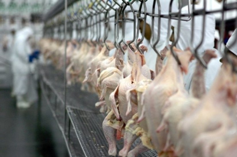 Ações da Desenvolve ajudam a fortalecer cooperativas alagoanas