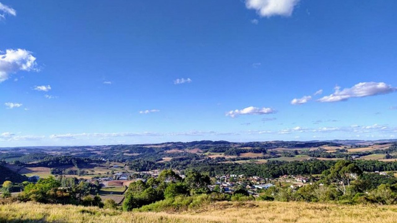 Guabiju (RS) é a capital nacional do 'mirtilo brasileiro'