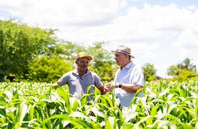 Garantia Safra beneficiará 587 agricultores de Palmeira com mais de R$ 700 mil na economia local