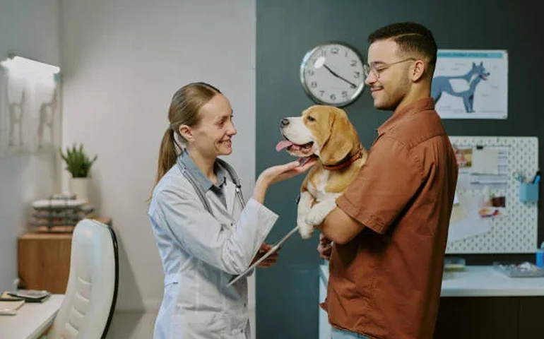 Cardiopatias em cães: 5 mitos e verdades que todo responsável precisa conhecer