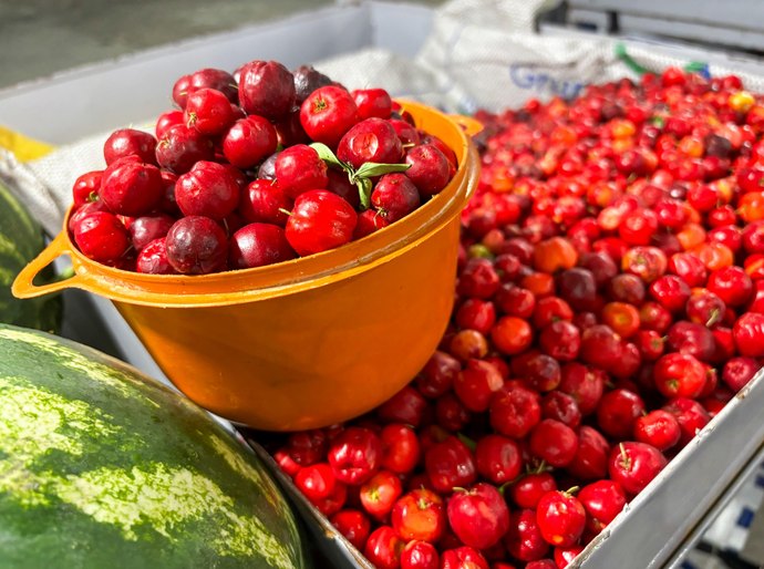 Maragogi recebe etapa Região Norte do Circuito Regional de Feiras da Agricultura Familiar