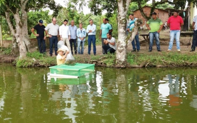 Produtores de São José da Laje recebem kits de irrigação e alevinos