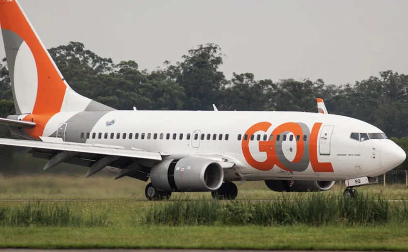 Avião da Gol colide com pássaro e volta a Brasília