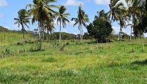 CAMPO