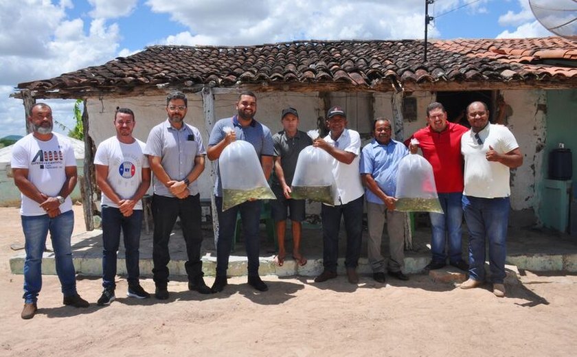 Prefeitura de Piranhas distribui mais de 50 mil alevinos para produtores da agricultura familiar