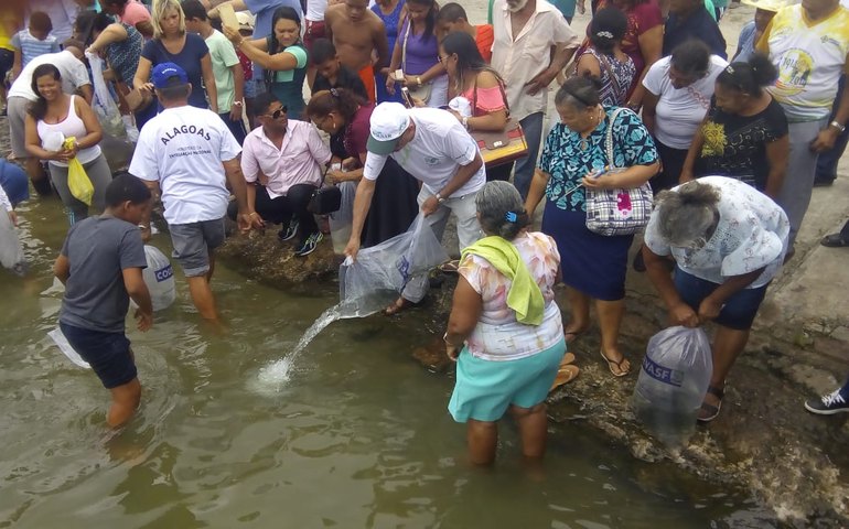 150 mil peixes de espécies nativas são inseridos pela Codevasf no São Francisco na Festa do Bom Jesus dos Navegantes de Penedo (AL)