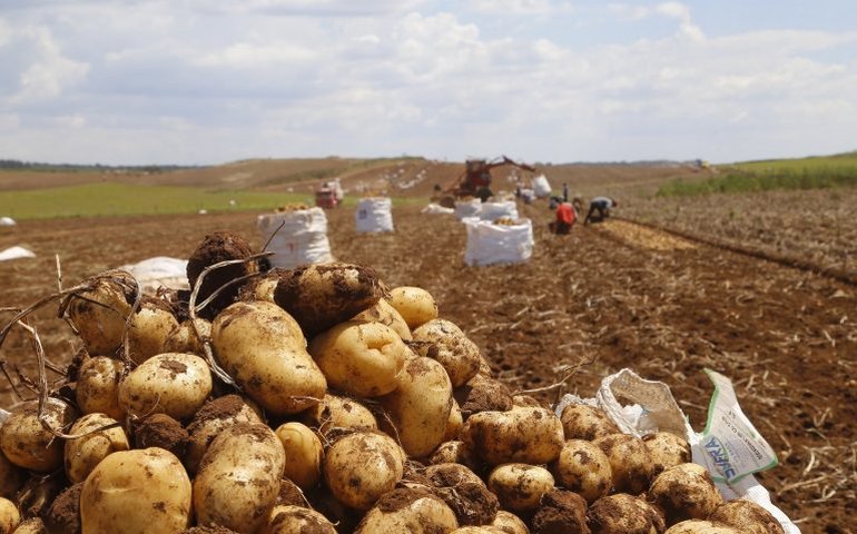 Comissão debate o Plano Safra 2023/2024 e a agricultura familiar