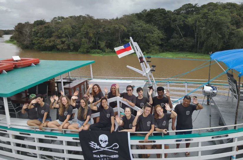 Amazônia: expedição avalia o impacto da seca extrema e poluição sobre a população de botos e tucuxis