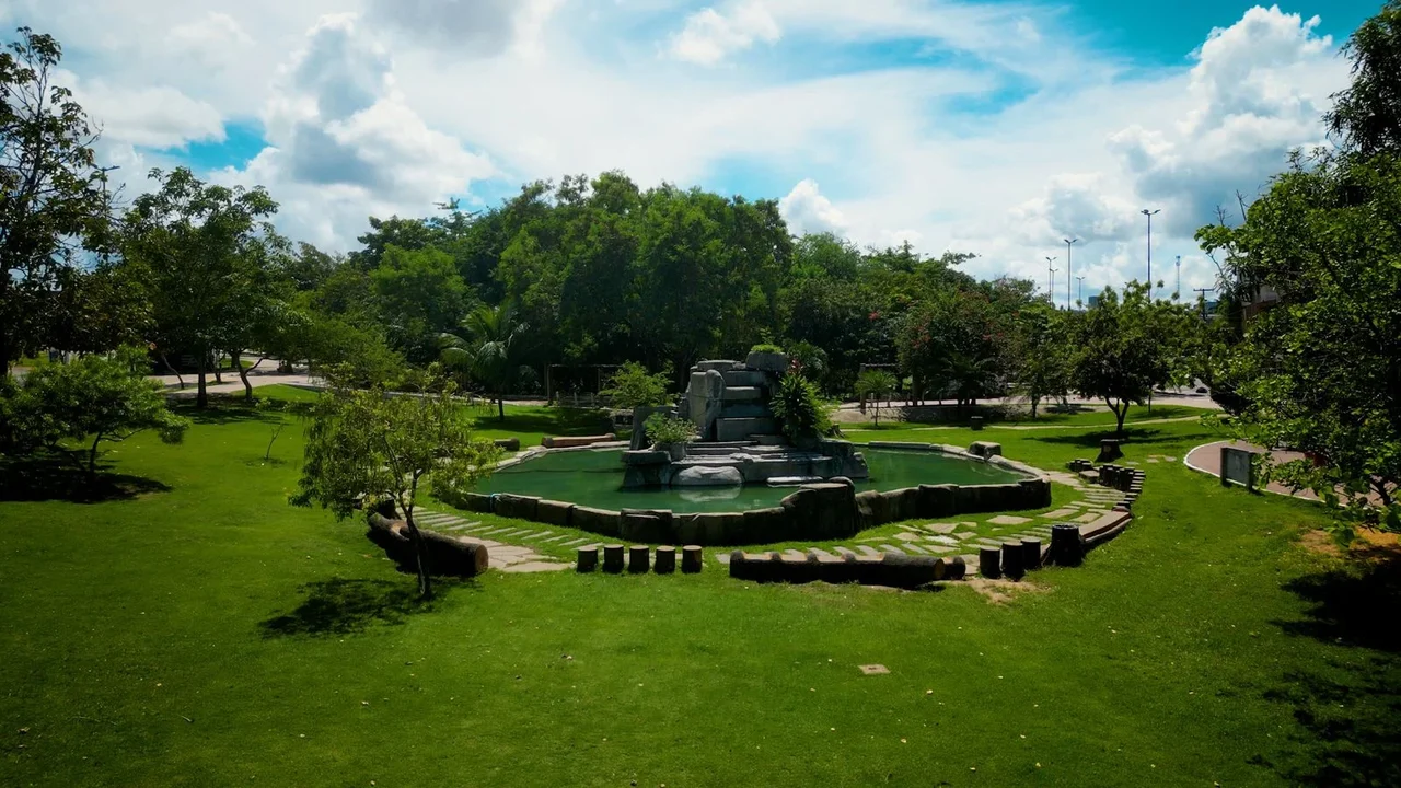 Arapiraca promove aulão gratuito de defesa pessoal para mulheres no Bosque das Arapiracas
