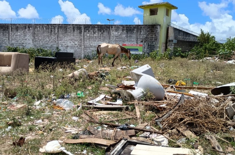 MPAL vistoria terreno e constata lixo, entulho de obras, cães, cavalos, espaços ocupados e risco de proliferação de vetores