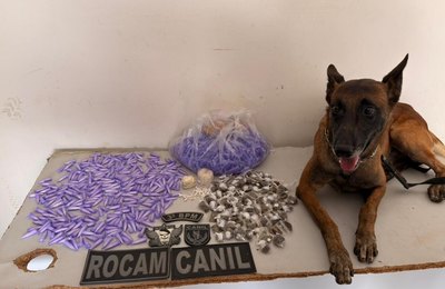 PM apreende drogas prontas para comercialização em Arapiraca