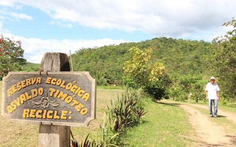 Crescimento de áreas preservadas faz cair desmatamento em Alagoas