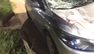 Motorista embriagado é preso após atropelar homem montado a cavalo em São Cristóvão / Foto: Foto: CPTran/SE