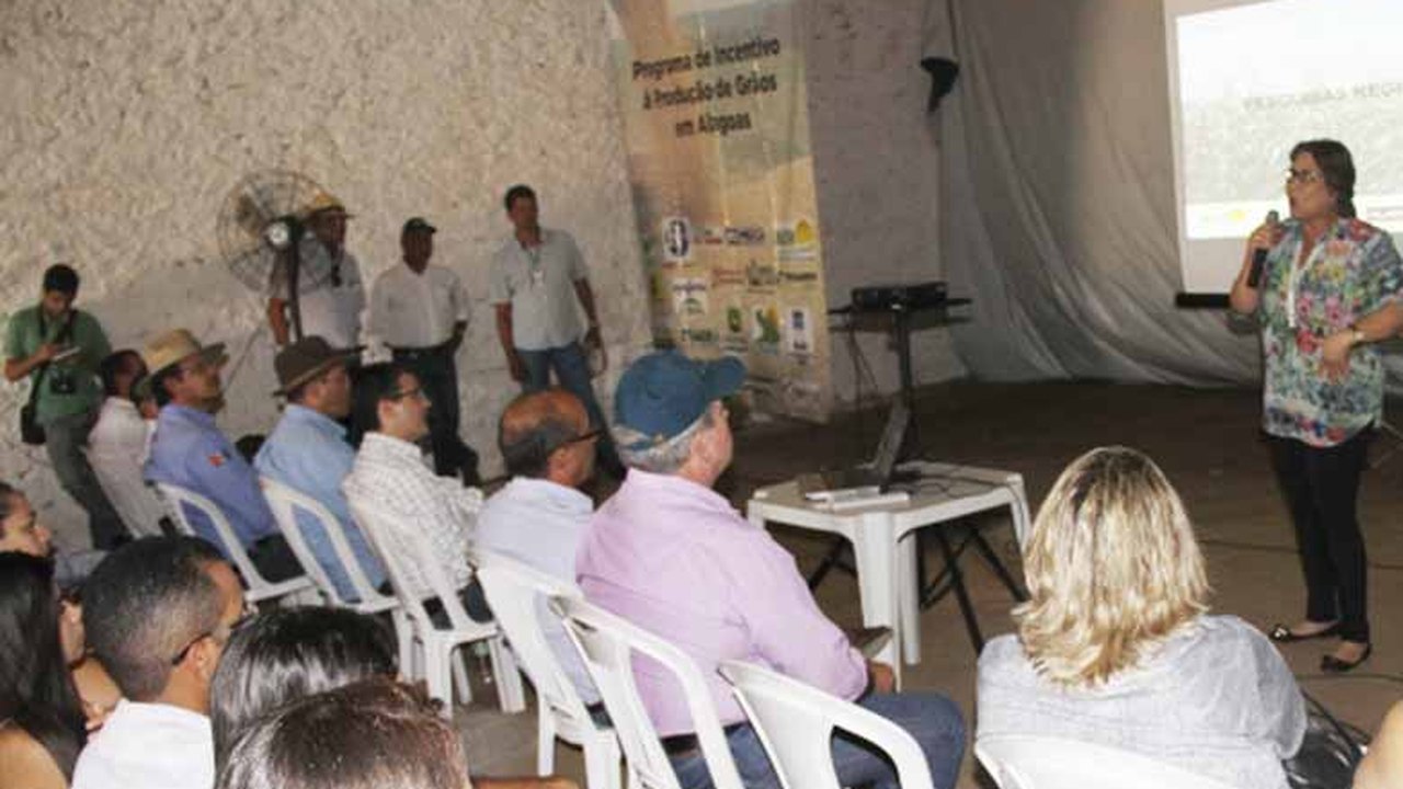 Arapiraca investe na produção de grãos
