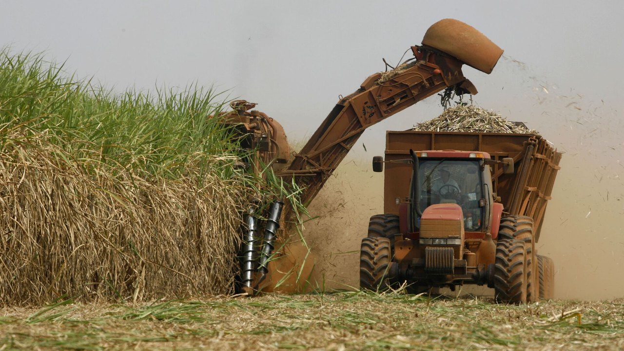 Guerra tarifária cria oportunidade para o agro brasileiro alavancar a reindustrialização
