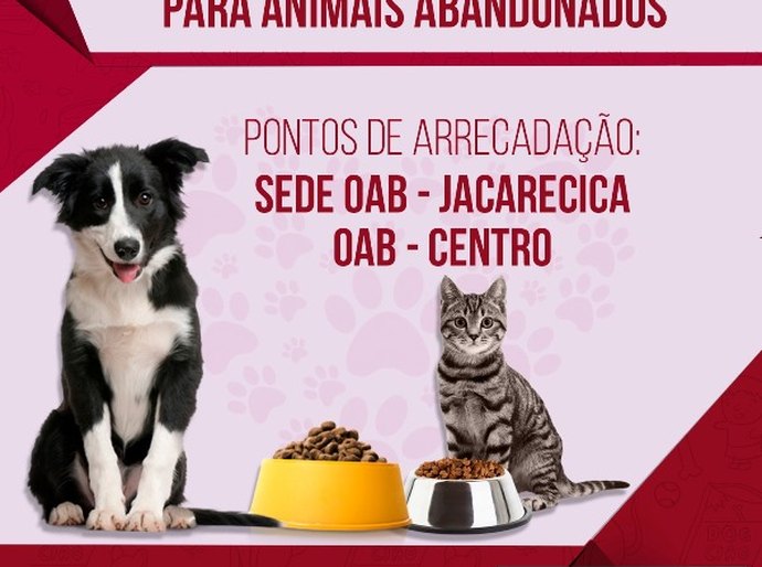 OAB/AL arrecada ração para animais abandonados em Maceió