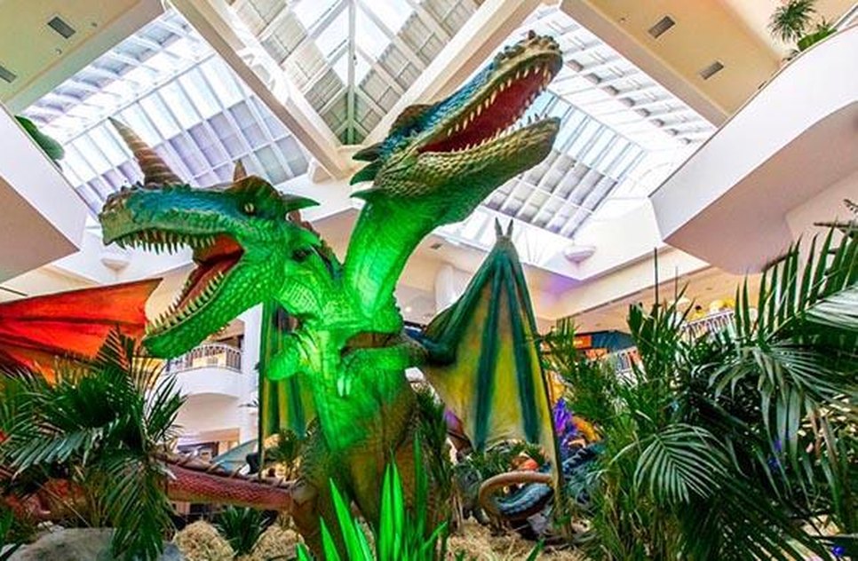 dragão