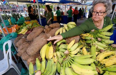 Feira agroecológica desta quarta (24) terá sorteio de mudas e vale-compras