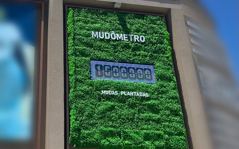 'Mudômetro' do IMA inicia contagem de mudas plantadas em Alagoas